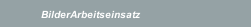 BilderArbeitseinsatz