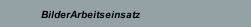 BilderArbeitseinsatz